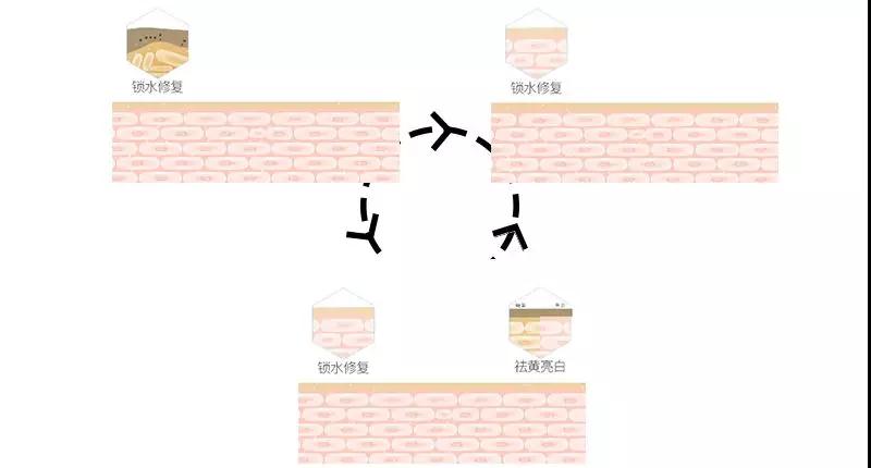 尊龙凯时官网(й)ҳ¼